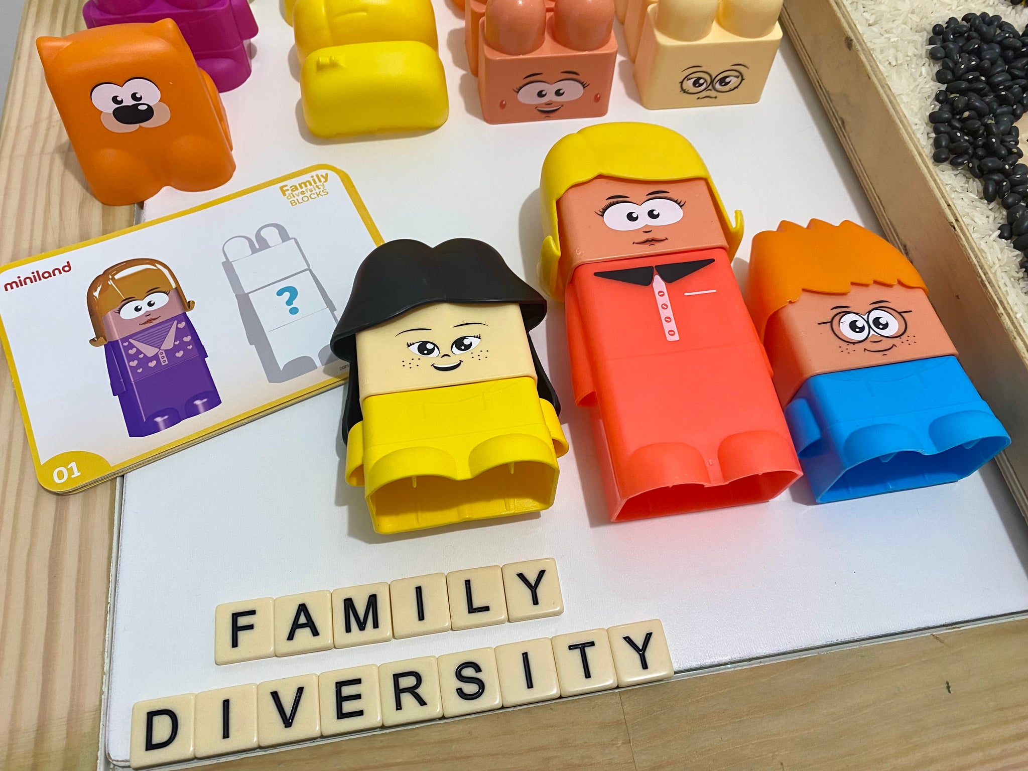 Miniland Family Diversity Blocks – Inclusive Play Corner